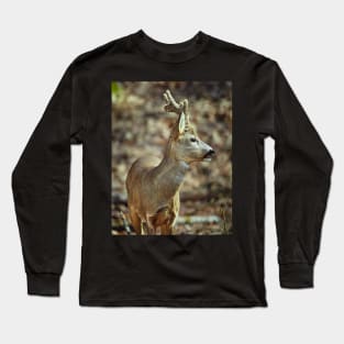 Roe buck in the forest Long Sleeve T-Shirt